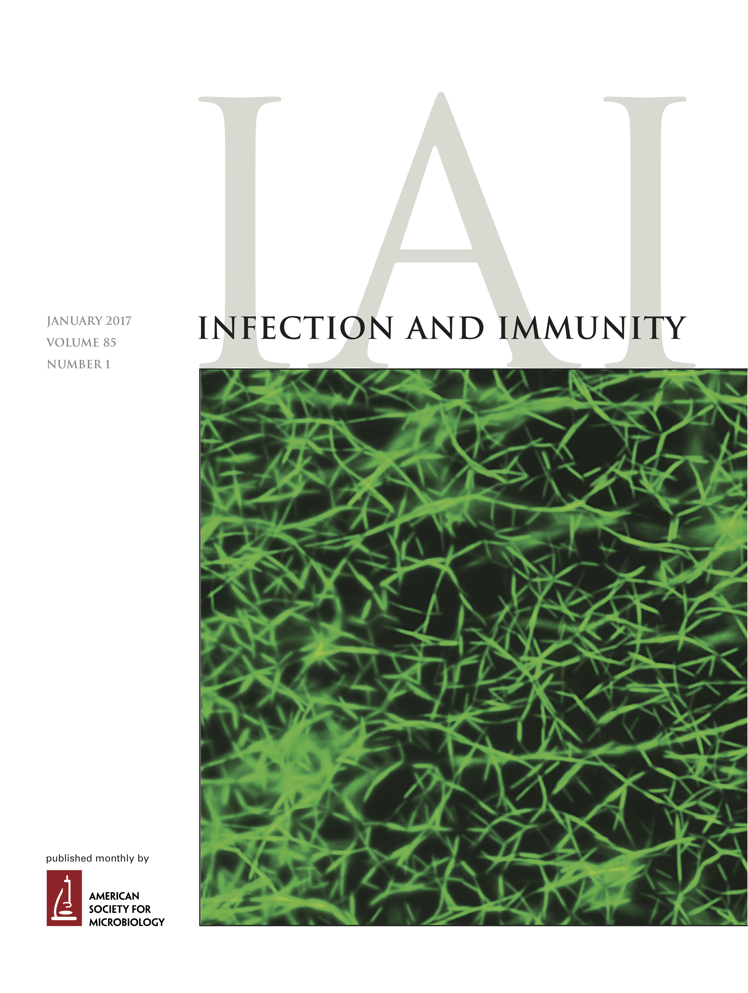 IAI Cover