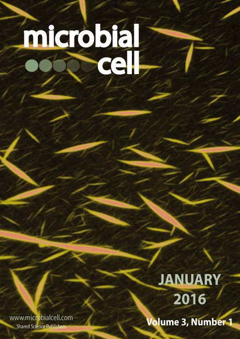 Microbial Cell Cover