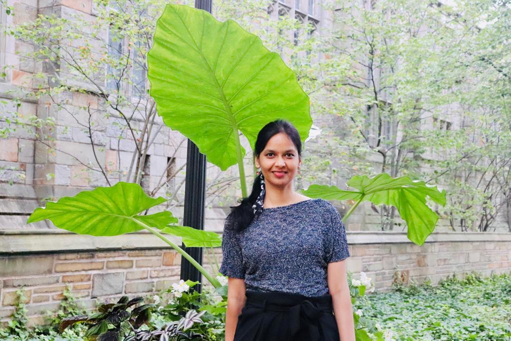 Dr. Reetika Chaurasia