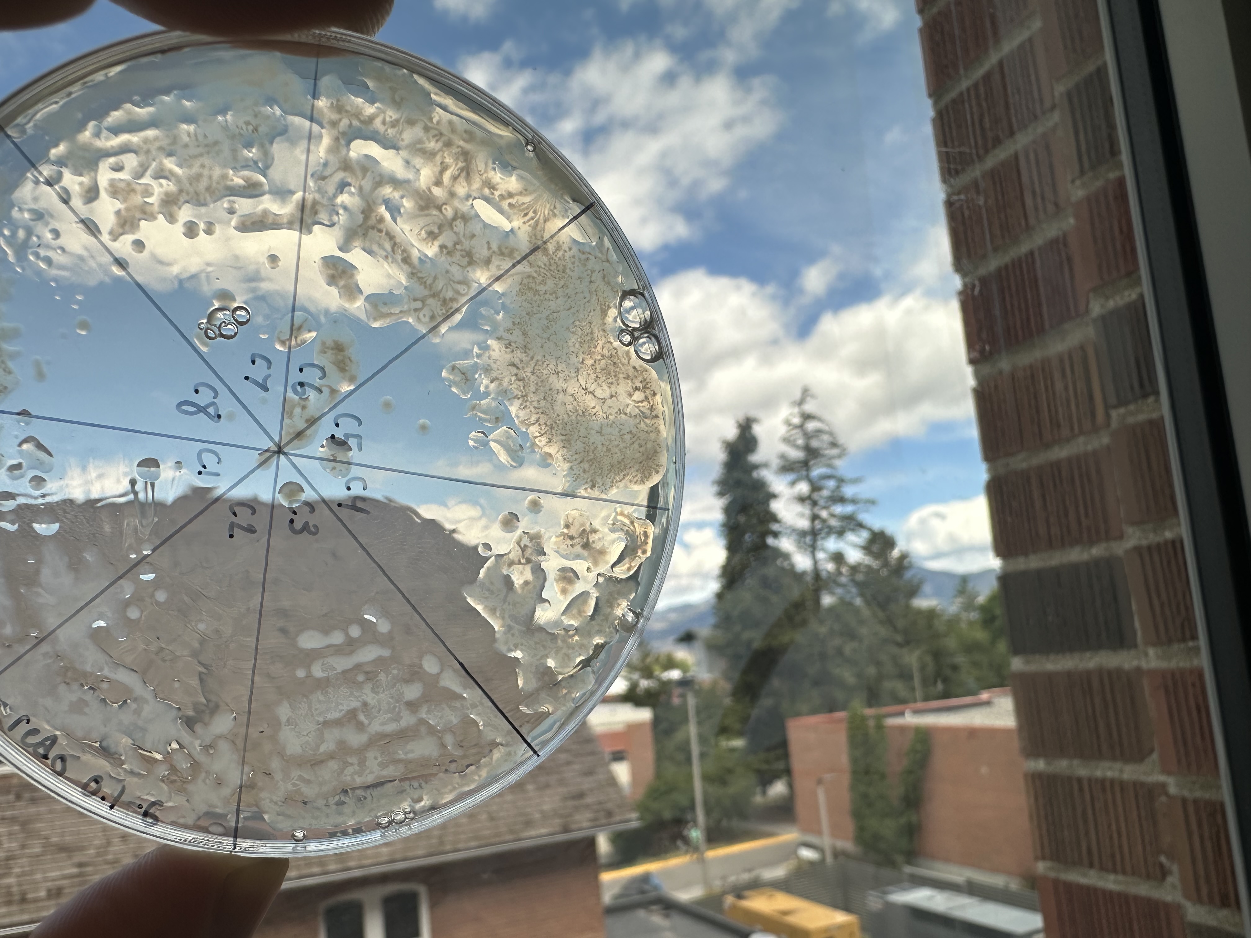 Hands-on microbiology work