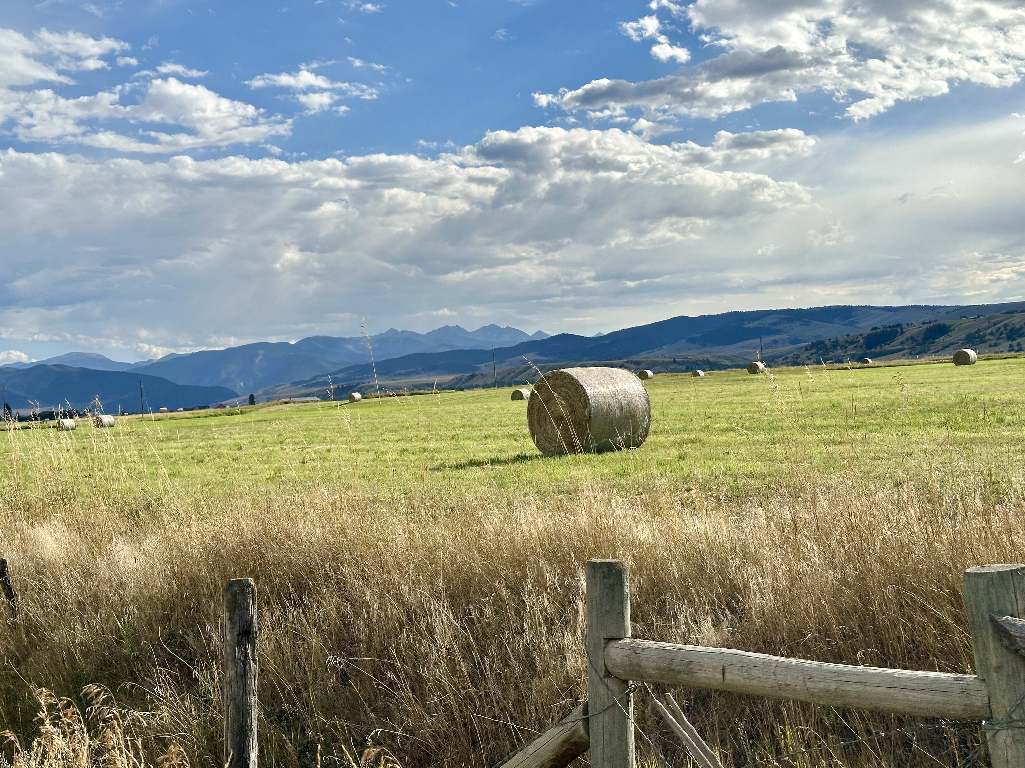Montana fields and mountains