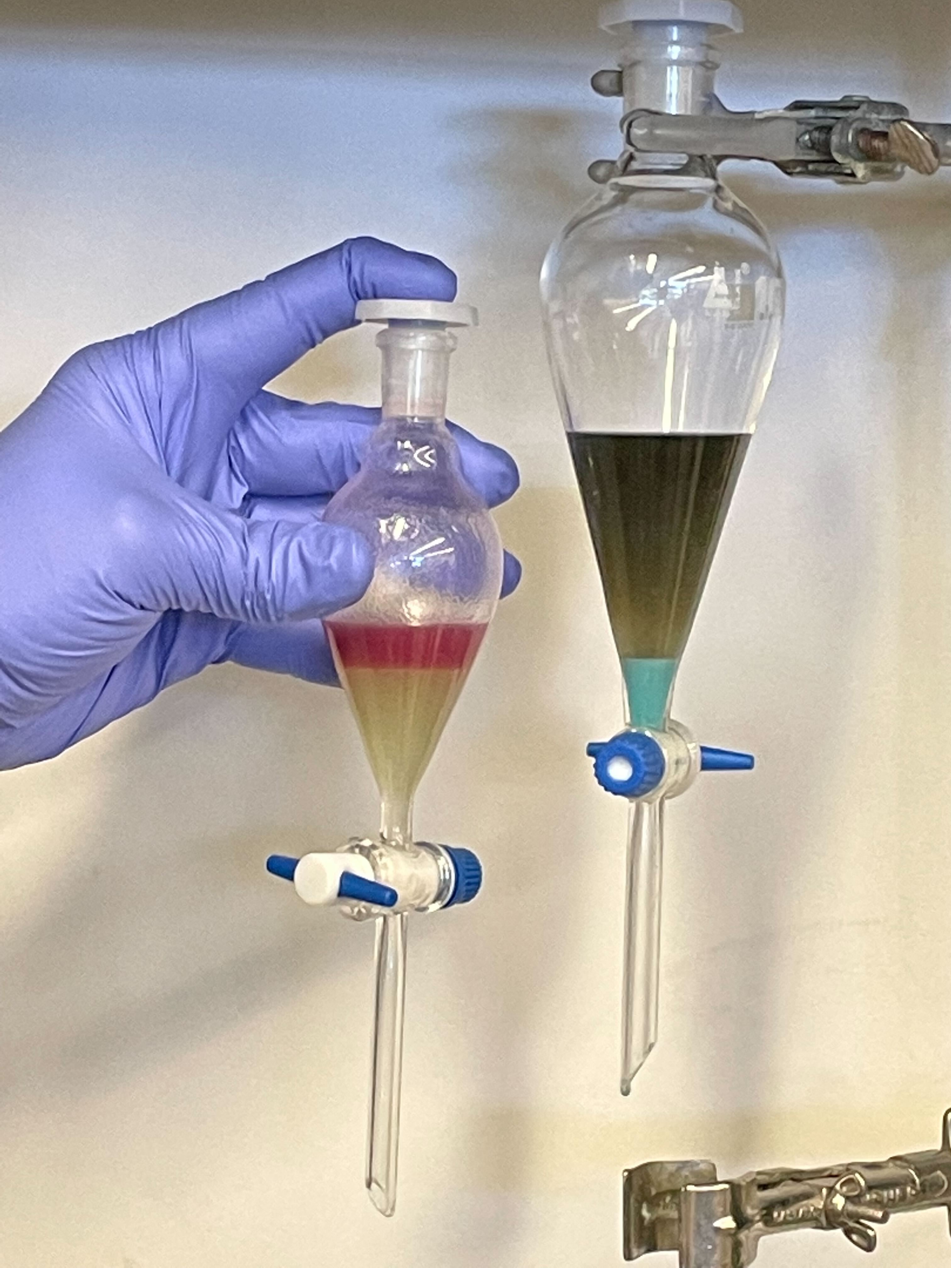 Pyocyanin chloroform extraction